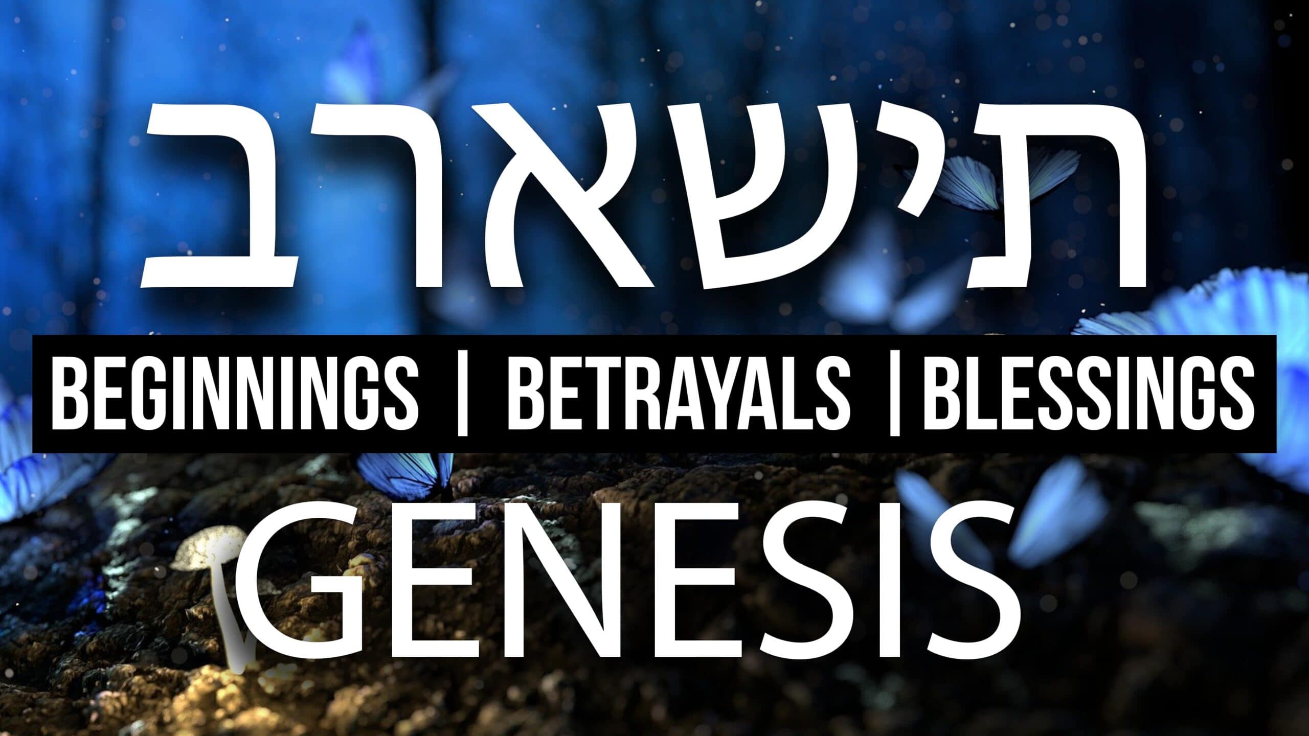 Genesis Beginnings Betrayals And Blessings
